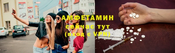 СК Алексин