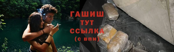 СК Алексин