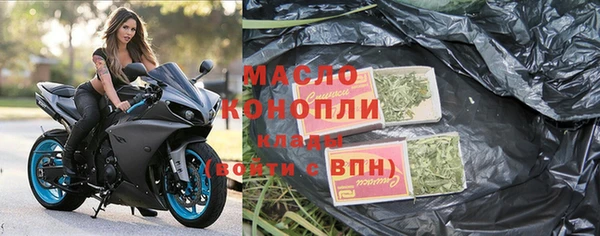 индика Гусиноозёрск