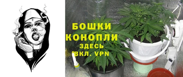 твердый Алзамай