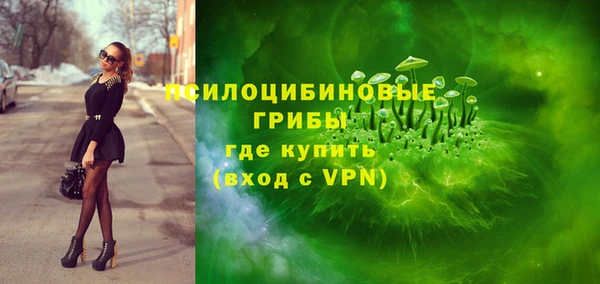 гидра Алексеевка