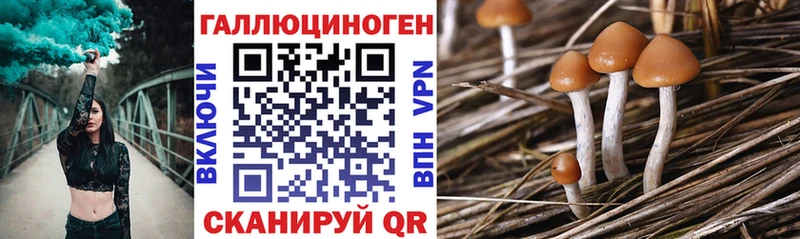 Галлюциногенные грибы Magic Shrooms  Вихоревка 